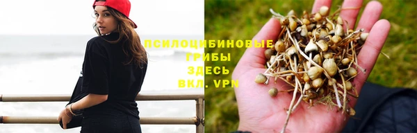 тгк Зерноград