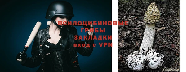тгк Зерноград