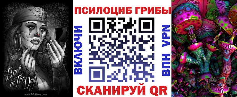 ОМГ ОМГ как войти  Калач-на-Дону  Галлюциногенные грибы Magic Shrooms 